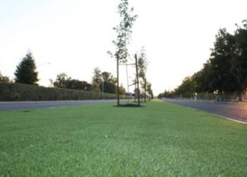 Christoffersen Parkway's artificial turf medians in Turlock.