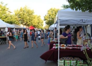 The first night market of the Turlock Farmers Market 2012 season. 06-08-12