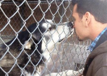 Courtesy of the Rodrigues Family