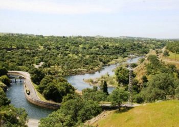 Courtesy of TID Director Rob Santos