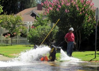 Submitted by Annie Jeffries