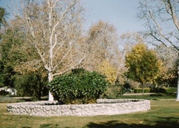 Courtesy of Joanne Schendel