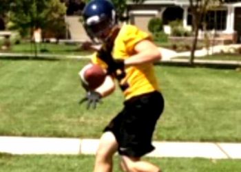 Contributed by Patrick Green|