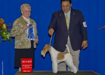 Courtesy of Golden Valley Kennel Club - Photo:MyDogPhoto.com|