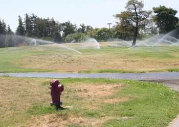 TurlockCityNews.com|