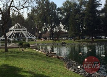 Kailey Fisicaro/TurlockCityNews.com|