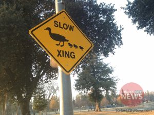 Submitted by Turlock City Councilman Steven Nascimento|