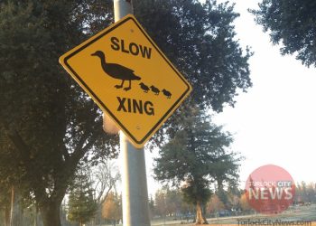 Submitted by Turlock City Councilman Steven Nascimento|