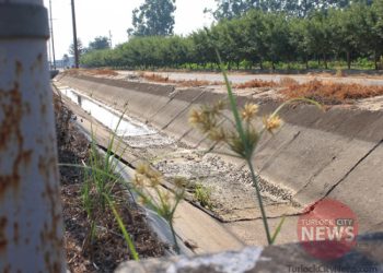 TurlockCityNews.com|