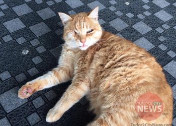 Submitted/TurlockCityNews.com|