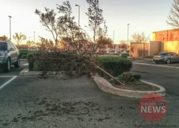 Submitted/TurlockCityNews.com|