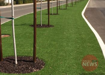 Kailey Fisicaro/TurlockCityNews.com|