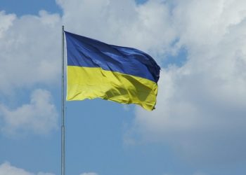 Some Rights Reserved by Vladimir Yaitskiy|