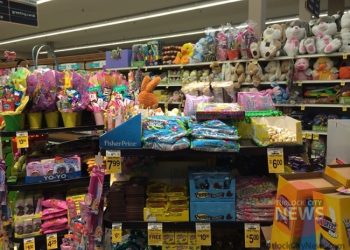 Kailey Fisicaro/TurlockCityNews.com|