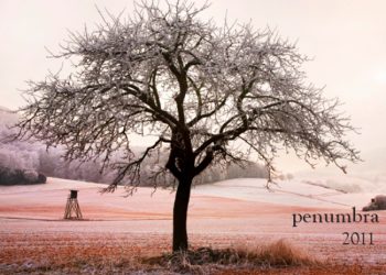 Courtesy of California State University, Stanislaus|