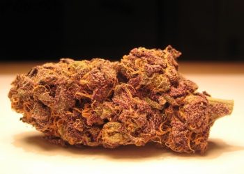 Some Rights Reserved by Nickel Bag of Funk|