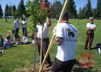 TurlockCityNews.com|