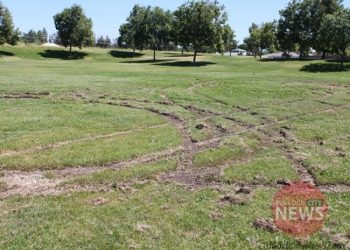 Brandon McMillan/TurlockCityNews.com