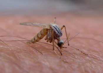 Some rights reserved by John Tann