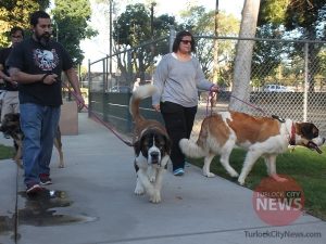 Jonathan McCorkell/TurlockCityNews.com
