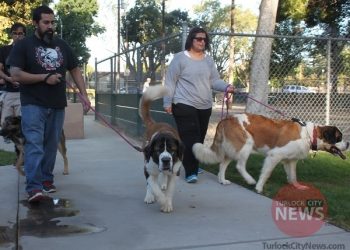 Jonathan McCorkell/TurlockCityNews.com