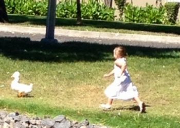 Submitted/TurlockCityNews.com