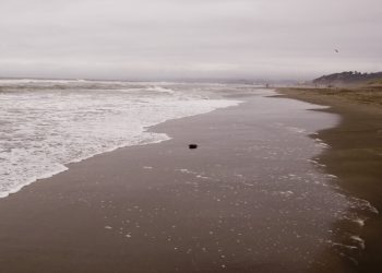 Some rights reserved by spacedust2019