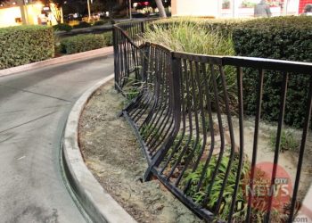 Brandon McMillan/TurlockCityNews.com