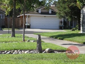 Submitted/TurlockCityNews.com