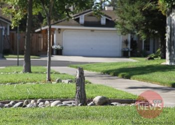 Submitted/TurlockCityNews.com