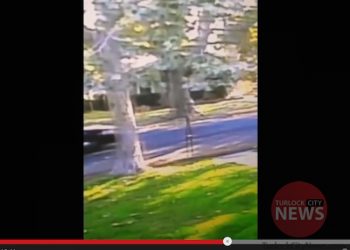 Video Submitted by Amanda Moore for Ken and Lisa Moore/TurlockCityNews.com