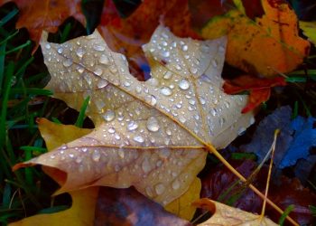 Some rights reserved by PentaxFanatiK