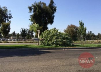 David Fransen/TurlockCityNews.com