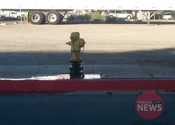 Submitted/TurlockCityNews.com