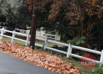 Brandon McMillan/TurlockCityNews.com