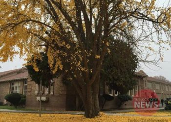 Courtesy of Turlock Unified School District