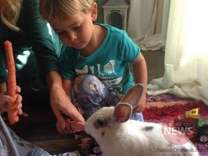 Submitted/TurlockCityNews.com