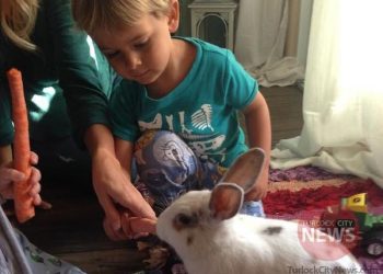 Submitted/TurlockCityNews.com