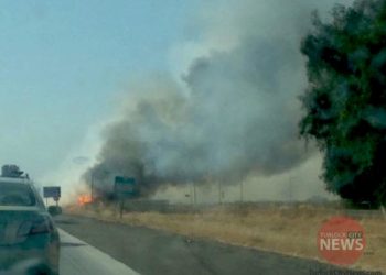 Submitted by Christine Cervantes/TurlockCityNews.com