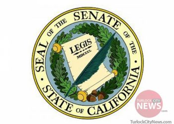 Courtesy of WikiCommons