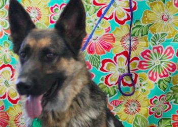 Courtesy of City of Turlock