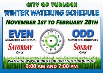Winter Watering Schedule
