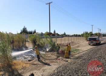 Trains Delayed Grass Fire Along Railroad Tracks