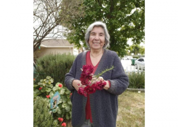 Maria L. Guedea October 1944 – July 2022 Maria Guedea, age 77 of Delhi, passed away on July 17, 2022. she was born in Mexico and lived in Hayward, Union City, and Ceres before settling in Delhi in 1994. She married Glafiro Guedea in 1959 until his passing in 1998. Maria was at her happiest when everyone came together under one roof to celebrate family, catching up, telling stories, laughing and eating well. A walk with Maria through her garden was an education about all the plants and their uses. Throughout our youth, every child and grandchild was blessed with her warm embrace while sitting upon her ever popular lap, often two at a time. As the kids grew up, she continued to be our place to go for comfort, sustenance, and provide safe ground. Maria was selfless in the kitchen where no one entered without being treated to her scrumptious and nonstop cooking. Maria was forever faithfully devoted to her lifelong love Glafiro. Maria is survived by her daughter Lidia Ruiz; son Joseph Guedea; daughter Aracely Aranda, daughter Maria Lampi; daughter Gloria Fernandez; son Jon Guedea; 9 grandchildren; 13 great grandchildren; and one great-great grandchild. She is also survived by her siblings Leonel Longoria, Rodolfo Longoria, Juan Longoria, Adolfo Longoria, and Lupe Santiago. Funeral services will be held on Friday, July 29, 2022, 10 am at Allen Mortuary with interment to follow at Ceres Memorial Park.