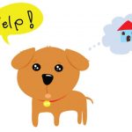 lost-dog-sample-photo.jpg