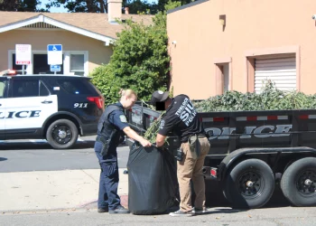 UPDATE: Fire leads to discovery of illegal cannabis grow Wednesday morning