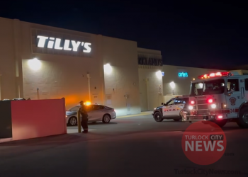 Man Arrested After Allegedly Lighting Two Cats on Fire