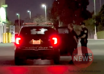 Additional Details on Cat Burnings Released