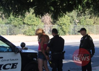 Person Arrested on Felony Elder Abuse Warrant During Suspicious Person Contact