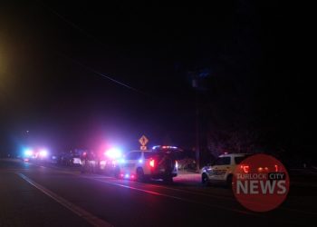 Handgun Stolen in Northeast Turlock Residential Burglary